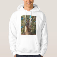 Meerkat And Blue Butterflies,