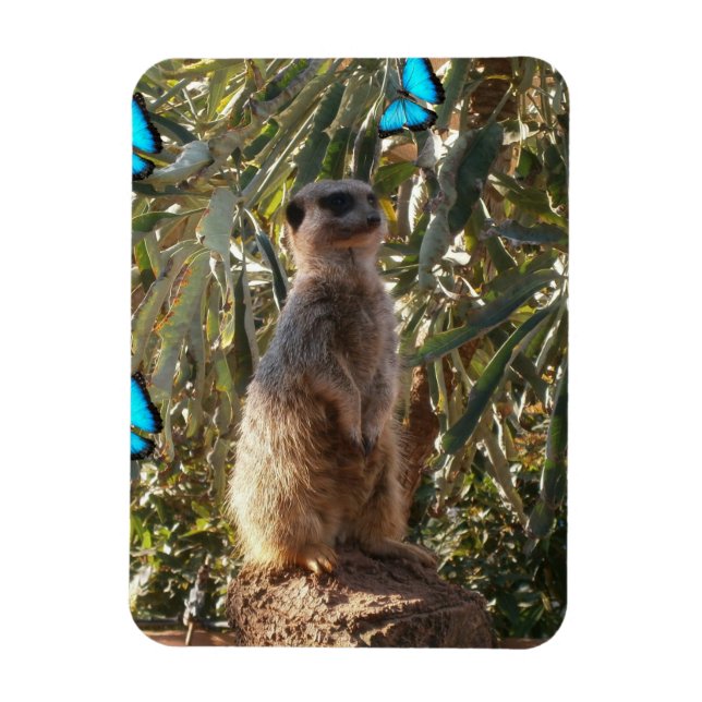 Meerkat And Blue Butterflies, Magnet (Vertical)