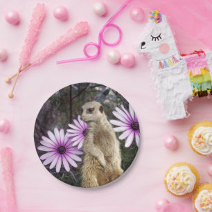 Meerkat And Daisies, Paper Party Plates