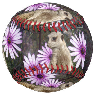 Meerkat And Daisies, Softball