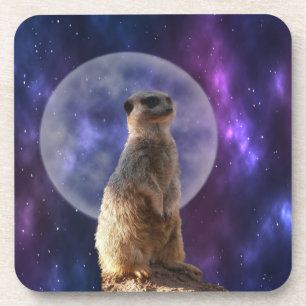 Meerkat And Full Moon, Coaster