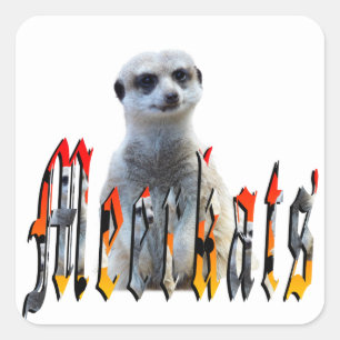 Meerkat And Meerkats Picture Logo, Square Sticker