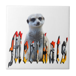 Meerkat And Meerkats Picture Logo, Tile