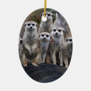 Meerkat Animal Safari Africa Cute Suricate Ceramic Tree Decoration