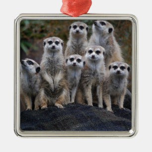 Meerkat Animal Safari Africa Cute Suricate Metal Tree Decoration