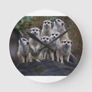 Meerkat Animal Safari Africa Cute Suricate Round Clock