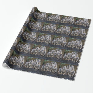Meerkat Animal Safari Africa Cute Suricate Wrapping Paper