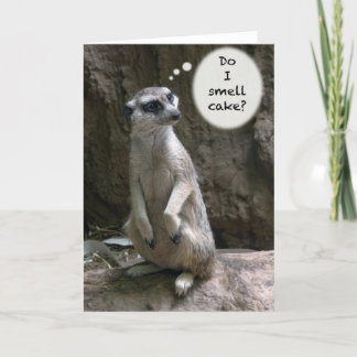 Meerkat Birthday card