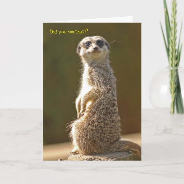 Meerkat Birthday Card (Front)
