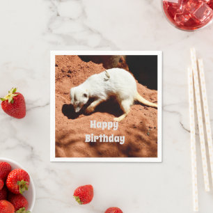 Meerkat Bug Eliminator, Paper Napkins