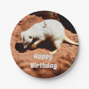 Meerkat Bug Eliminator, Paper Plates