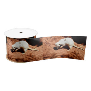 Meerkat Bug Eliminator, Satin Ribbon
