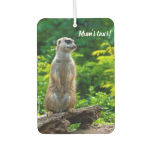 Meerkat Car air freshener