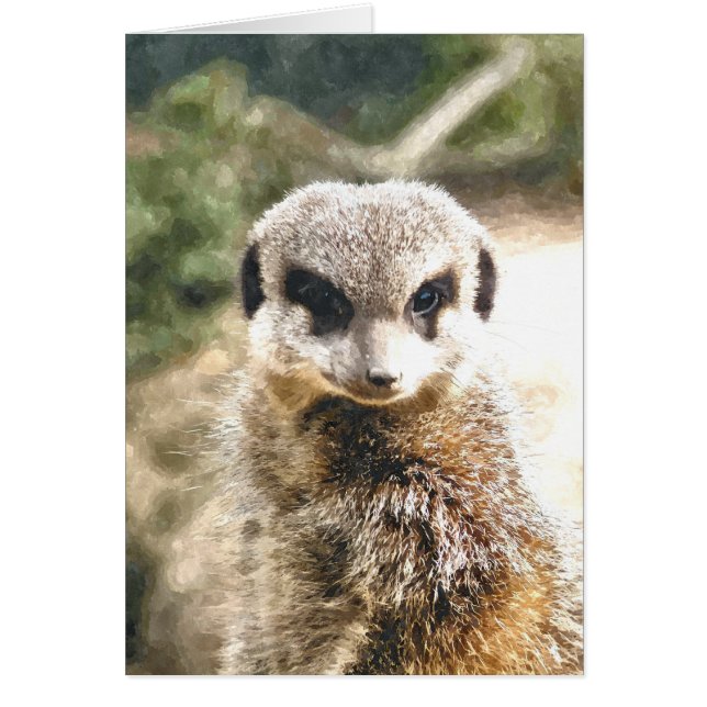 MEERKAT Card (Front)