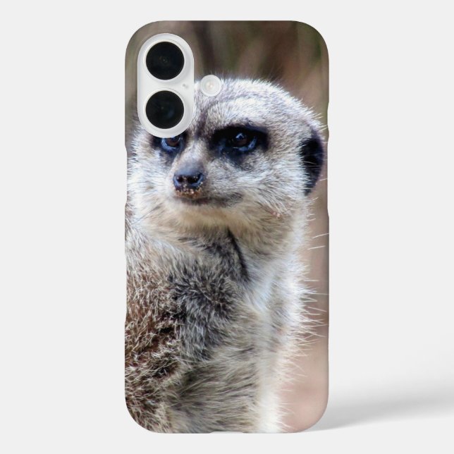 meerkat Case-Mate iPhone case (Back)