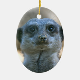 Meerkat Ceramic Tree Decoration