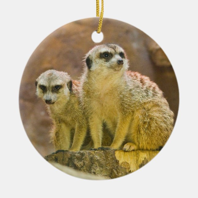 meerkat ceramic tree decoration (Front)
