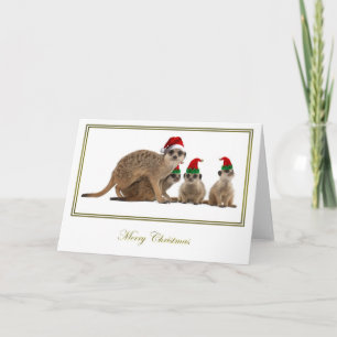 Meerkat Christmas 3 Holiday Card