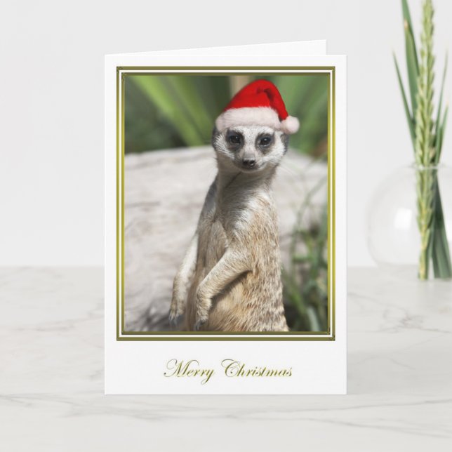 Meerkat Christmas 4 Holiday Card (Front)