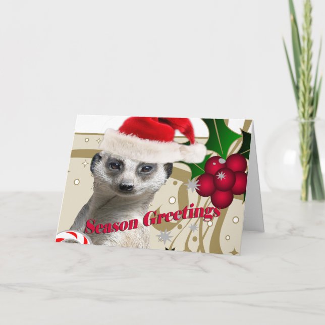 Meerkat Christmas Cards (Front)