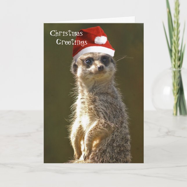 Meerkat Christmas Greetings Card (Front)
