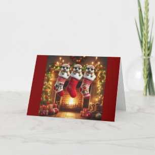 Meerkat Christmas Stockings Holiday Card