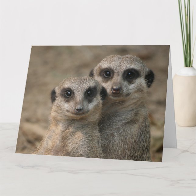 Meerkat-Couple Card (Front)
