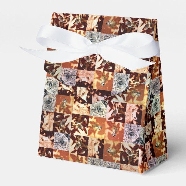 Meerkat Crossweave Pattern, Favour Box (Front Side)