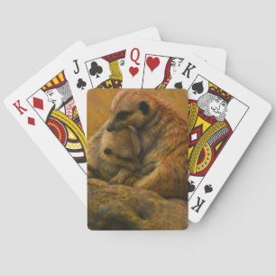Meerkat Cuddle – Earth-Toned Wildlife Painting Playing Cards