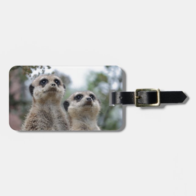 Meerkat - Dreamtem Luggage Tag (Front Horizontal)