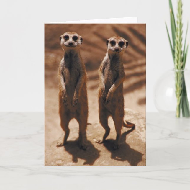 Meerkat Duo Card (Front)