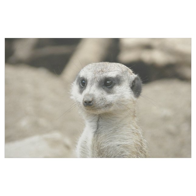 Meerkat Fabric (Yard)