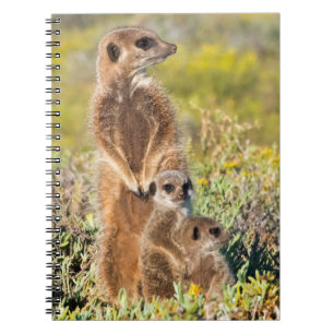 Meerkat Family Portrait Notebook