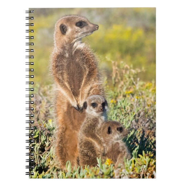 Meerkat Family Portrait Notebook (Front)