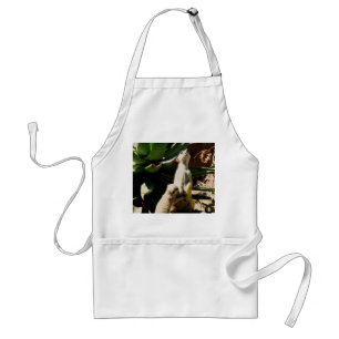 Meerkat Feeding Her Baby, Standard Apron