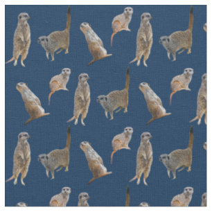 Meerkat Frenzy Fabric (Navy)