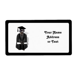 Meerkat Graduate W/Grey Gown & Black Sash
