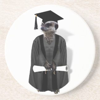 Meerkat Graduate W/Grey Gown & Black Sash Coaster