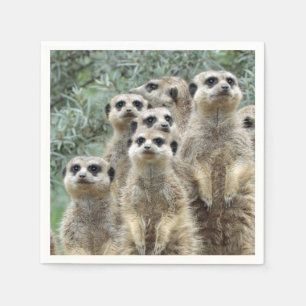 Meerkat-Group 001 Napkin