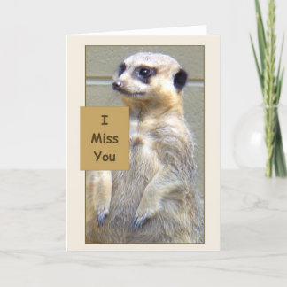 Meerkat I Miss You Greeting Card