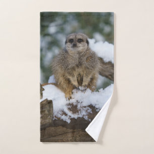 Meerkat In The Snow Acrylic Print Hand Towel