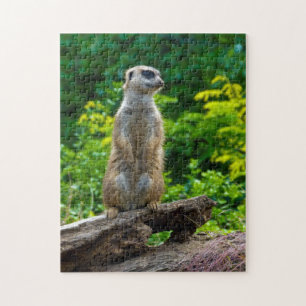 Meerkat in the woods Jigsaw puzzle