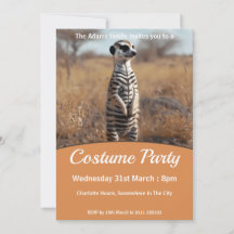 Meerkat In Zebra Disguise Costume Party