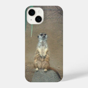 Meerkat iPhone Case