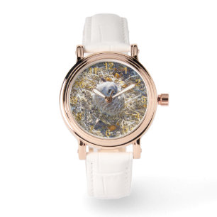 Meerkat Is Building A Nest, Watch