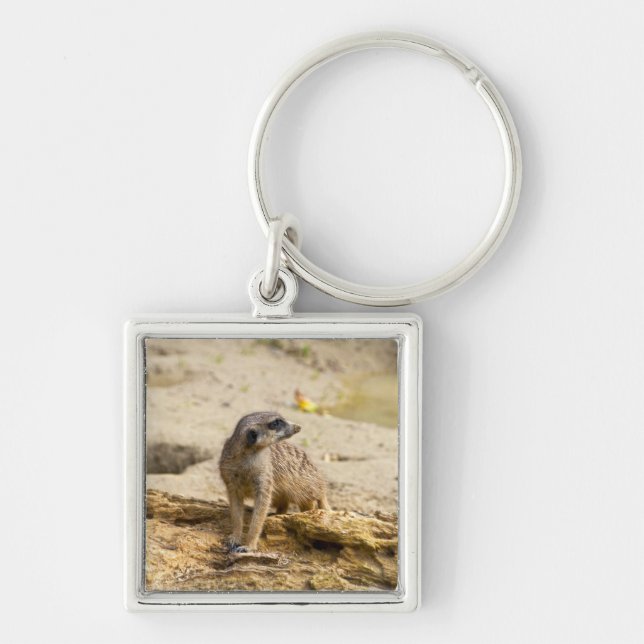 Meerkat Key Ring (Front)