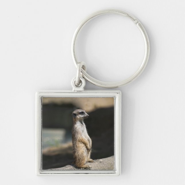 Meerkat Key Ring (Front)