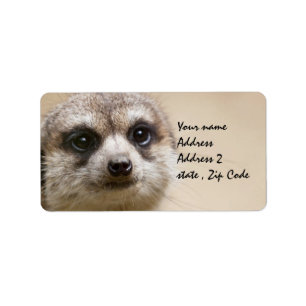 Meerkat Label