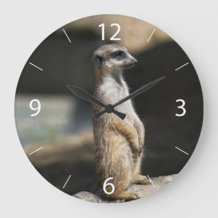 Meerkat Large Clock