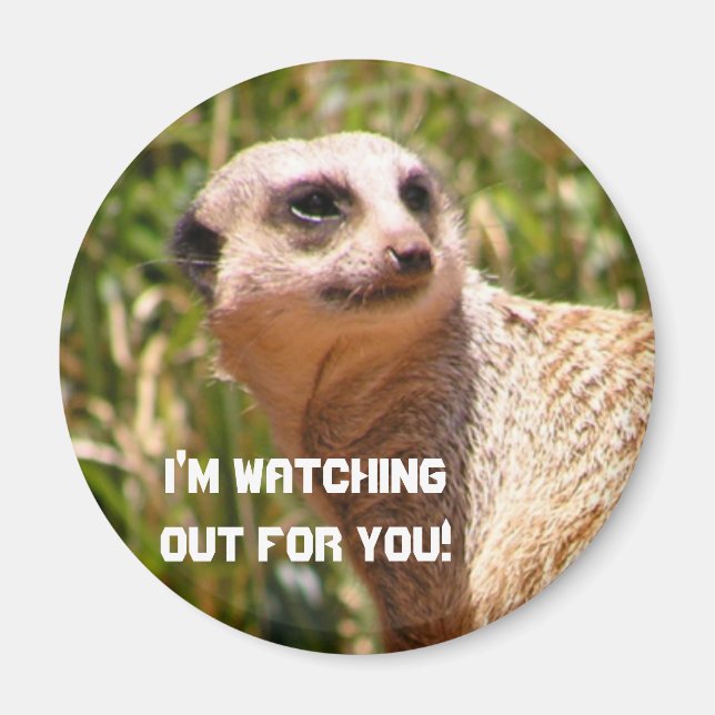 Meerkat lookout magnet (Front)